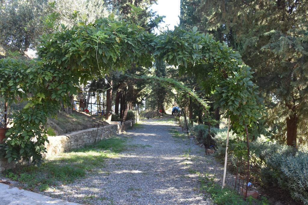 Farm stay Azienda Agrituristica Biologica Il Querceto *